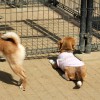 まってる。