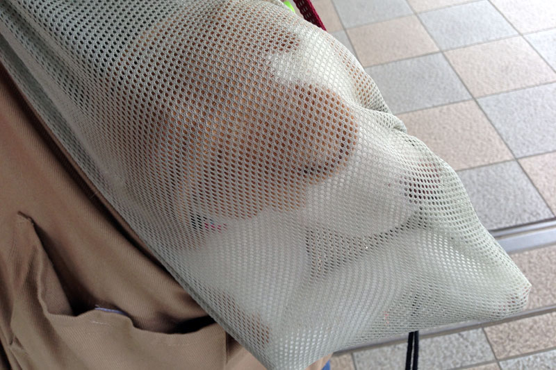 網の中の花豆