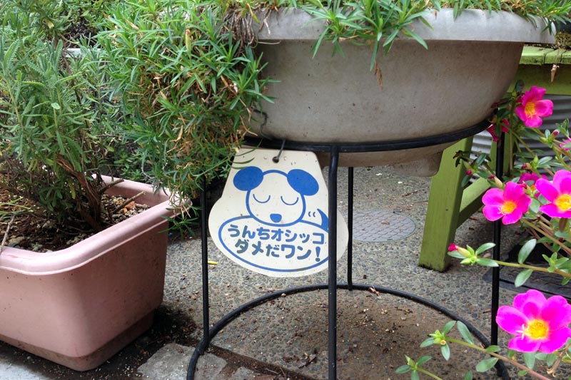 ダメだワン