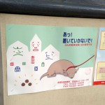 犬の落とし物
