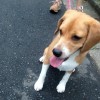 船橋のリズちゃん