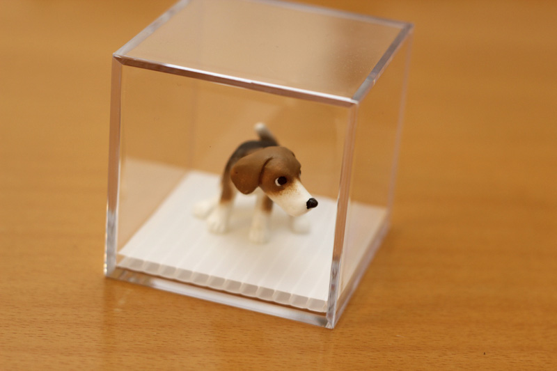 フィギュア正面？
