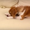 消えない氷