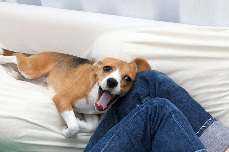 あくび