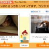 Yahoo!ペットのフォトコンテストに参加してます