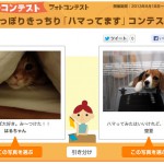Yahoo!ペットのフォトコンテストに参加してます