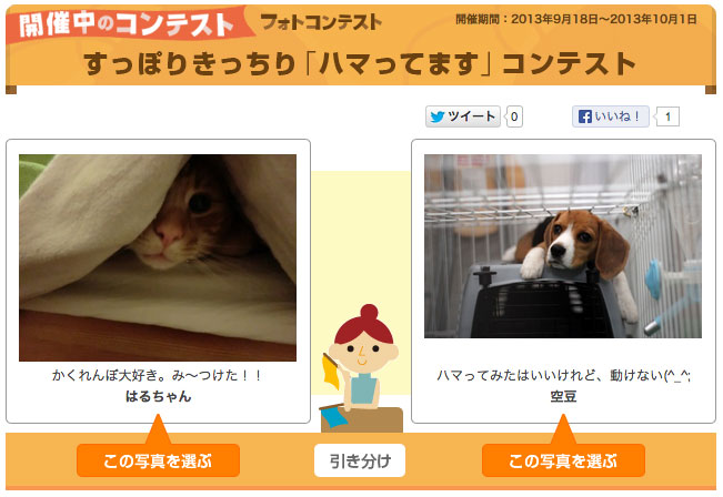 Yahoo!ペットのコンテスト