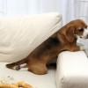 正座