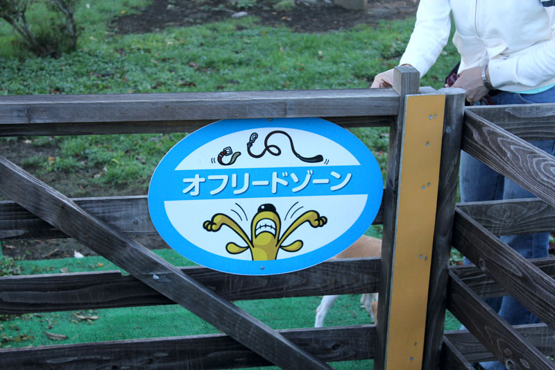 開放感あふれる看板