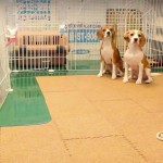 名前おぼえた？