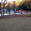 芦花公園ドッグランの清掃に参加しました