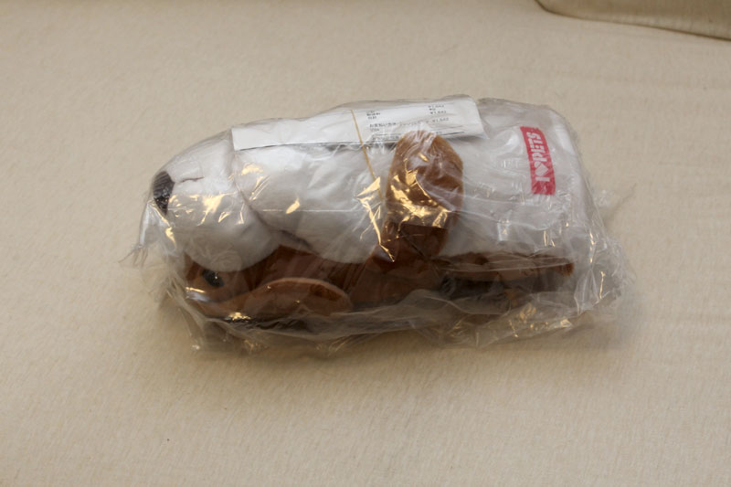 おもちゃが届きました