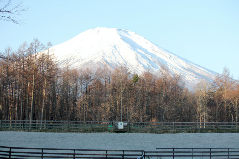 冬の朝の富士山