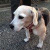 ウランちゃん久しぶり