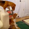 ちょっと、ちょっとちょっと