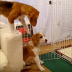 ちょっと、ちょっとちょっと