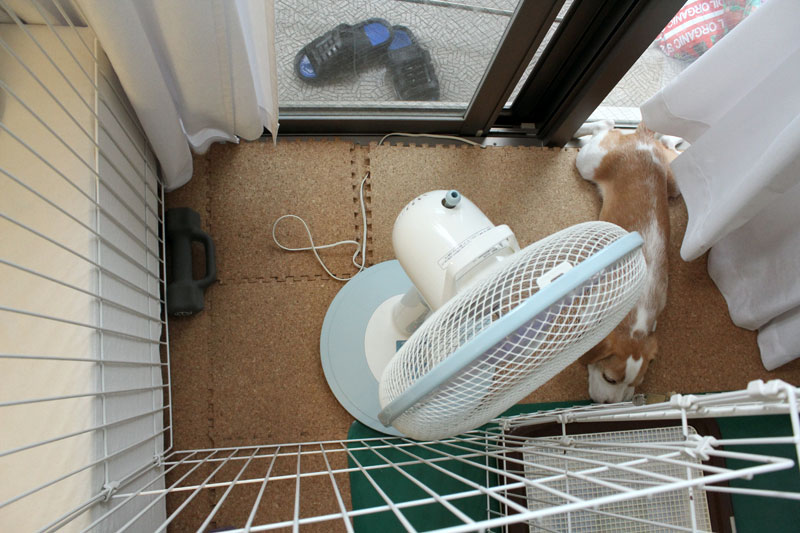 狭い