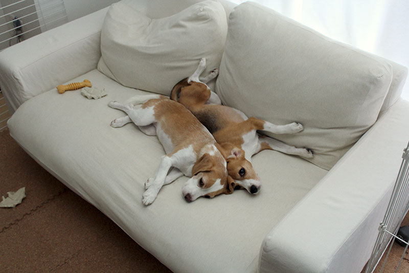背中合わせ