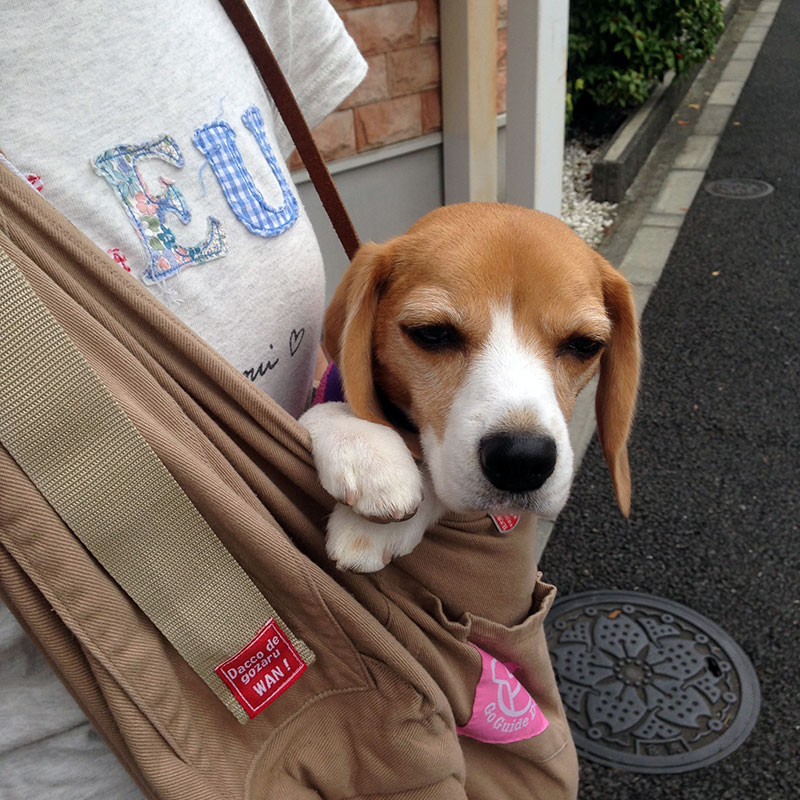 スカしてるなあ