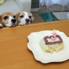 空花3歳の誕生日