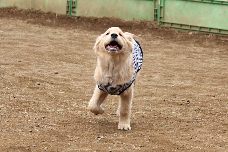 笑顔