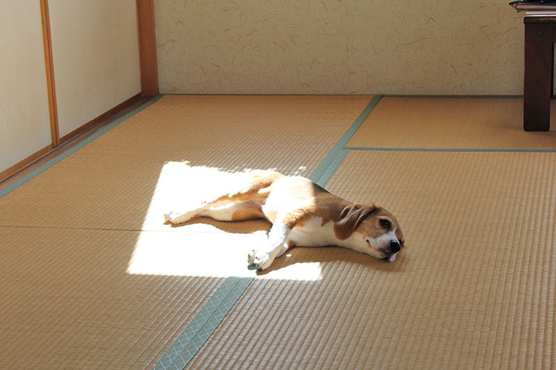 寝る