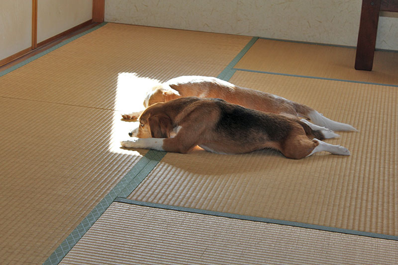ふたりでたたずむ