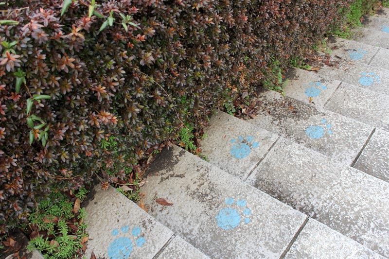 足跡