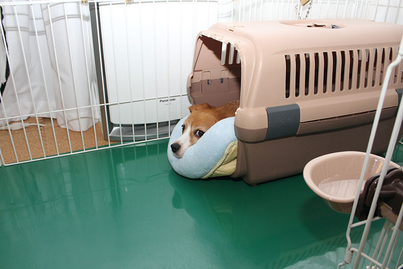 ちょうどいい挟まり具合