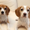 ちょっとサイトいじります
