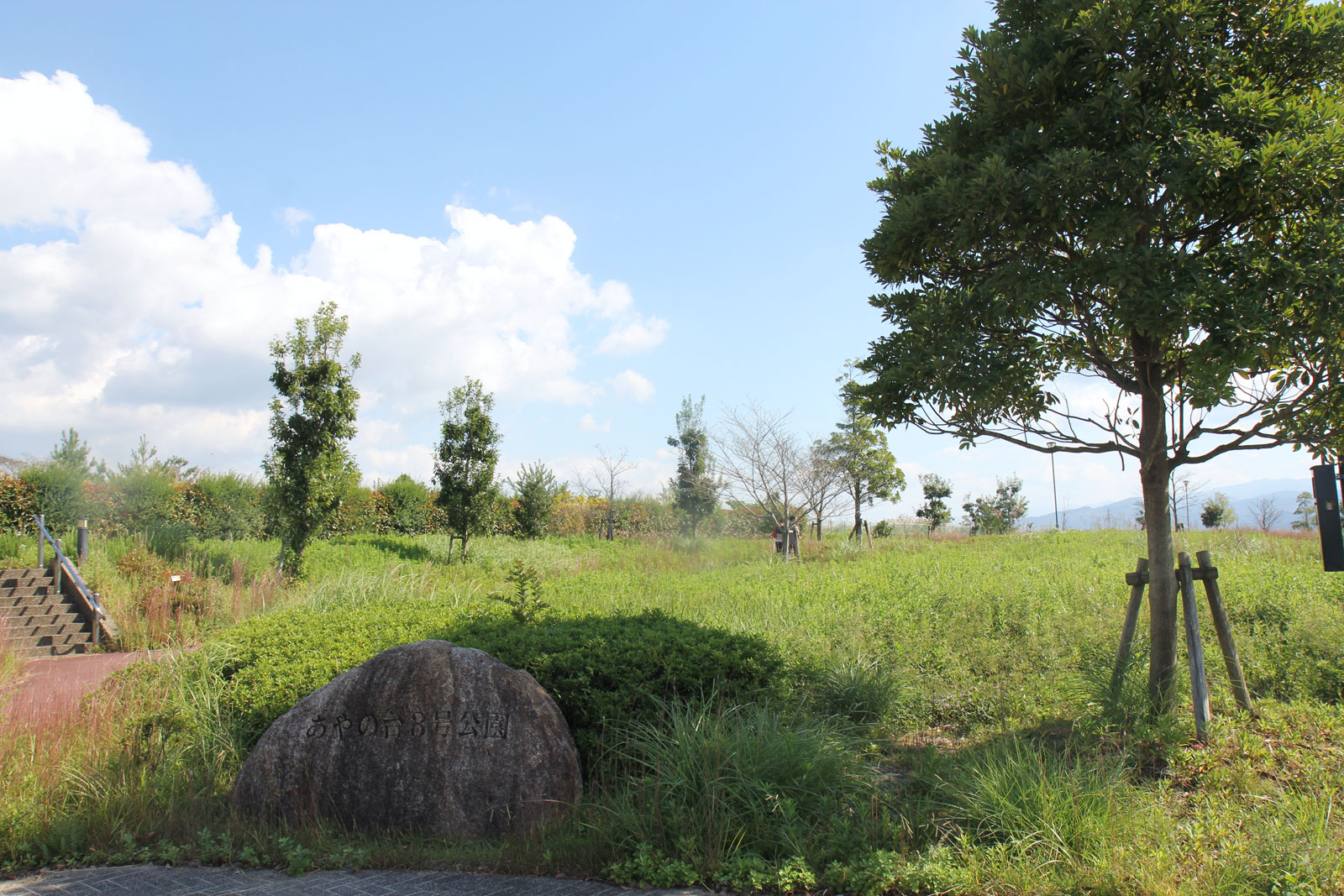 和歌山のとある公園