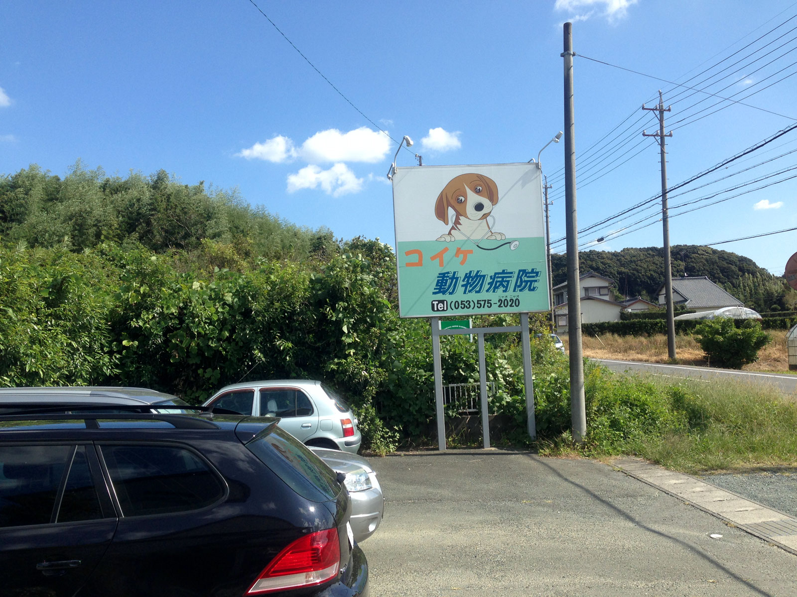 コイケ動物病院