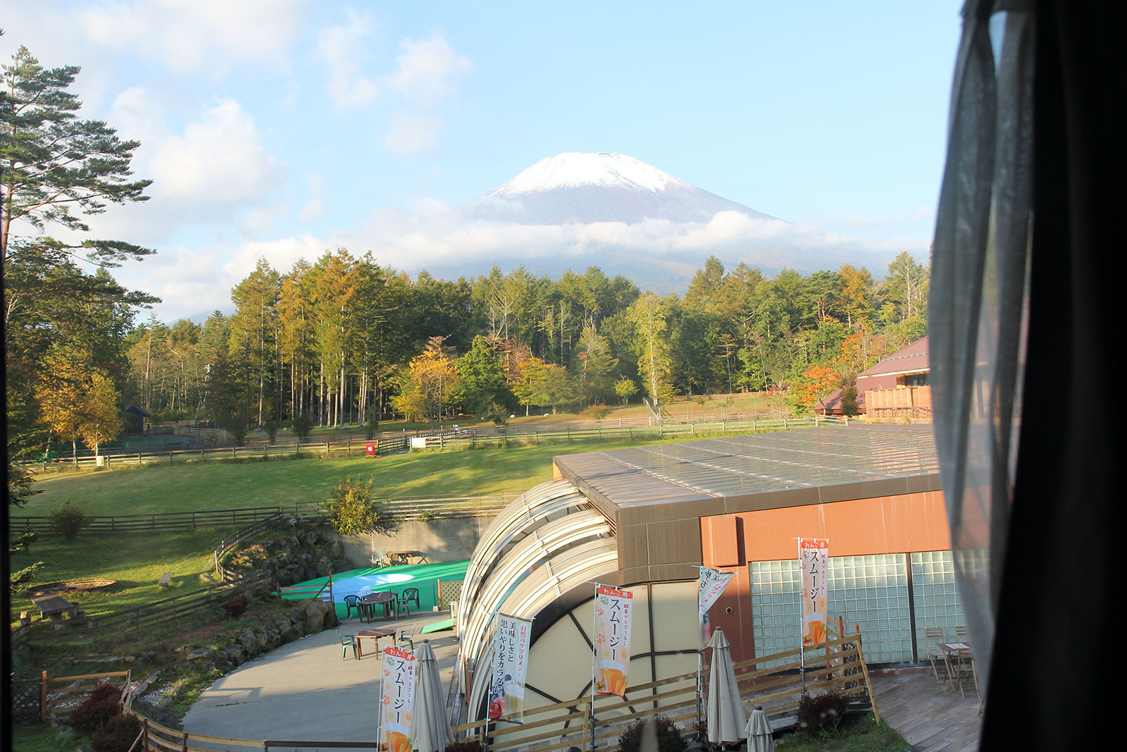 ドッグリゾートワフの富士山側部屋から
