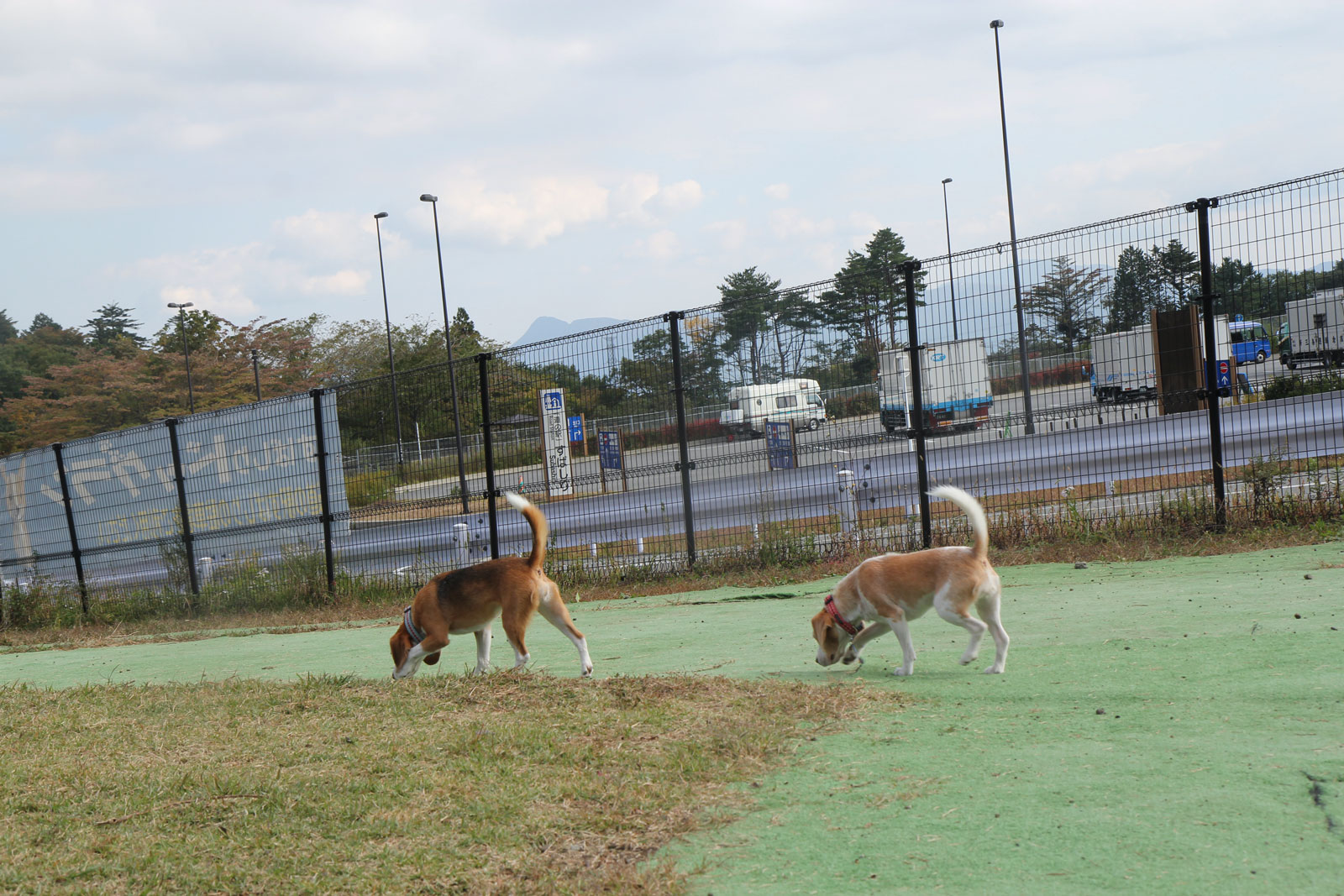 シンクロ空花その1