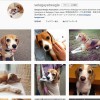 せたびぃのFacebookページ＆インスタグラム作りました！
