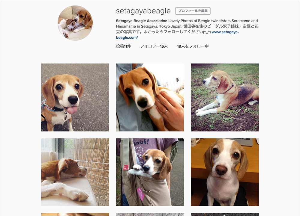せたびぃインスタグラム