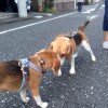 そらくんと空豆