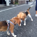 そらくんと空豆