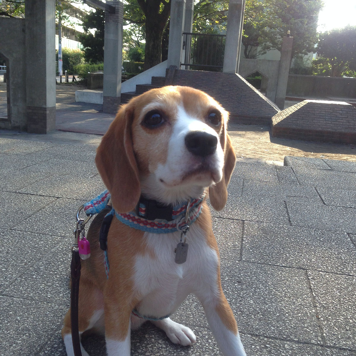 朝練する空豆さん