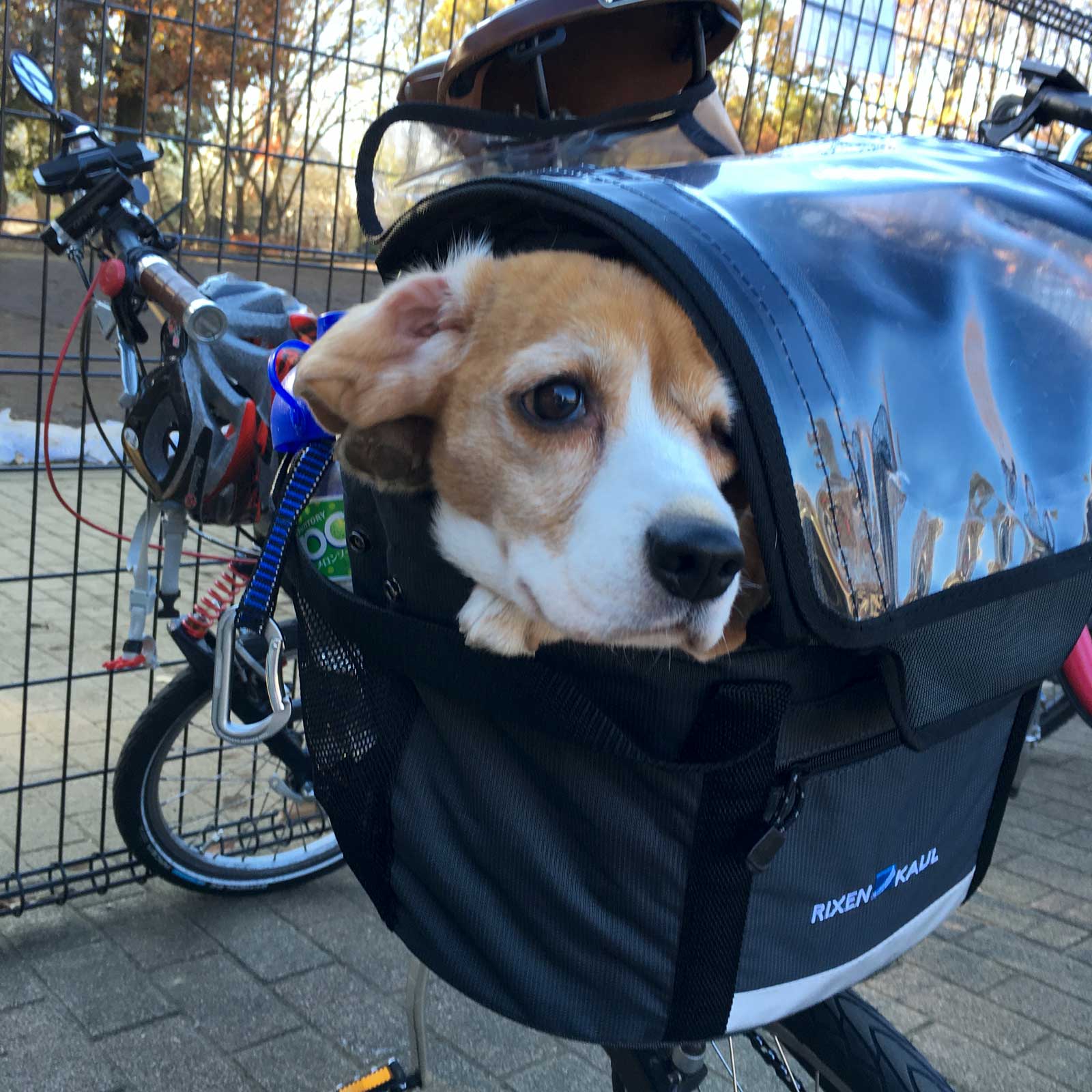 今日は後部座席