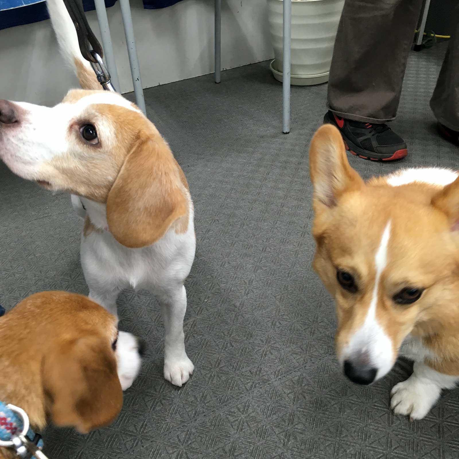 バラバラの3ショット