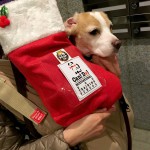 クリスマス会