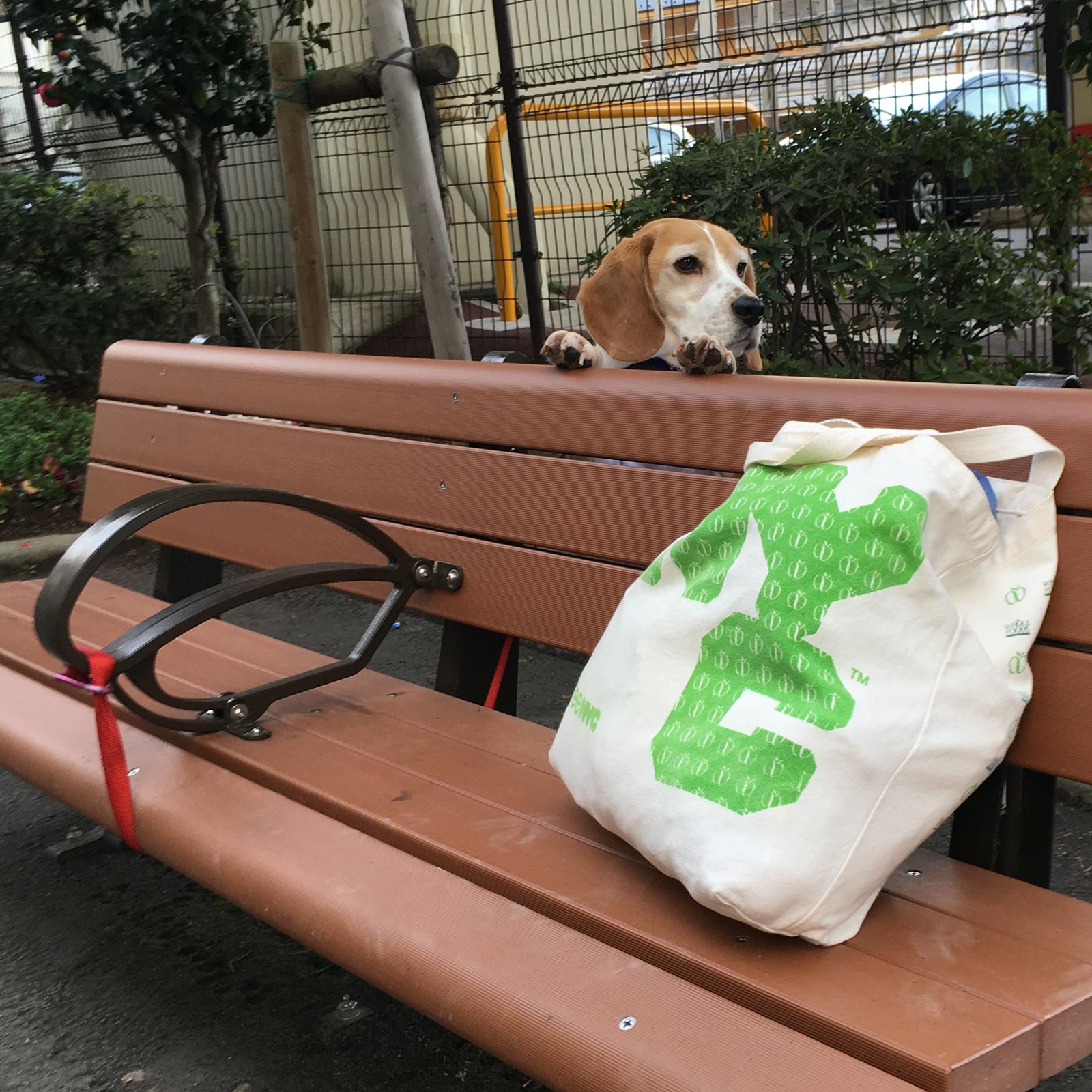 ラフくんちょっとピンチ
