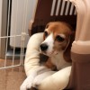 それぞれの寝る準備。