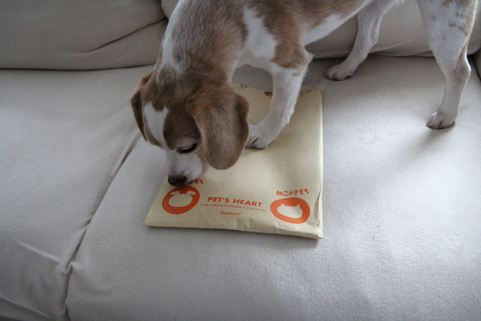 封筒が届いた