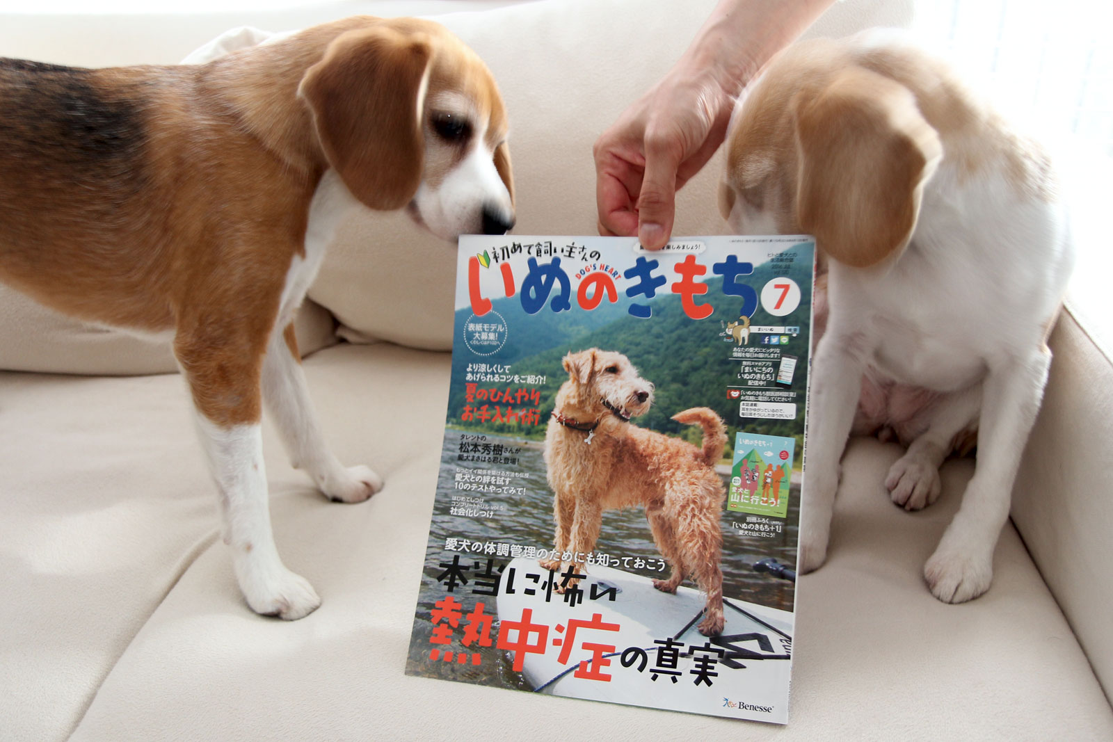いぬのきもちが届いたよ