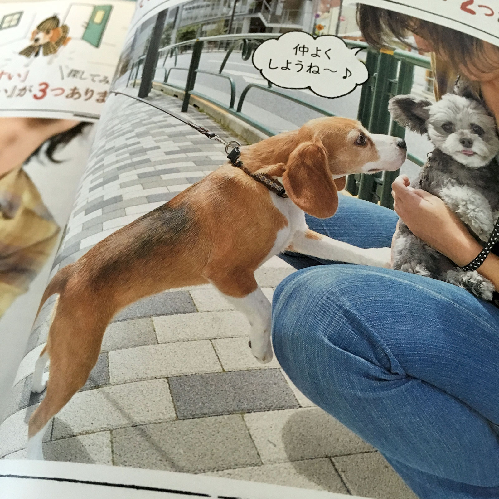 ページいっぱいの空豆さん