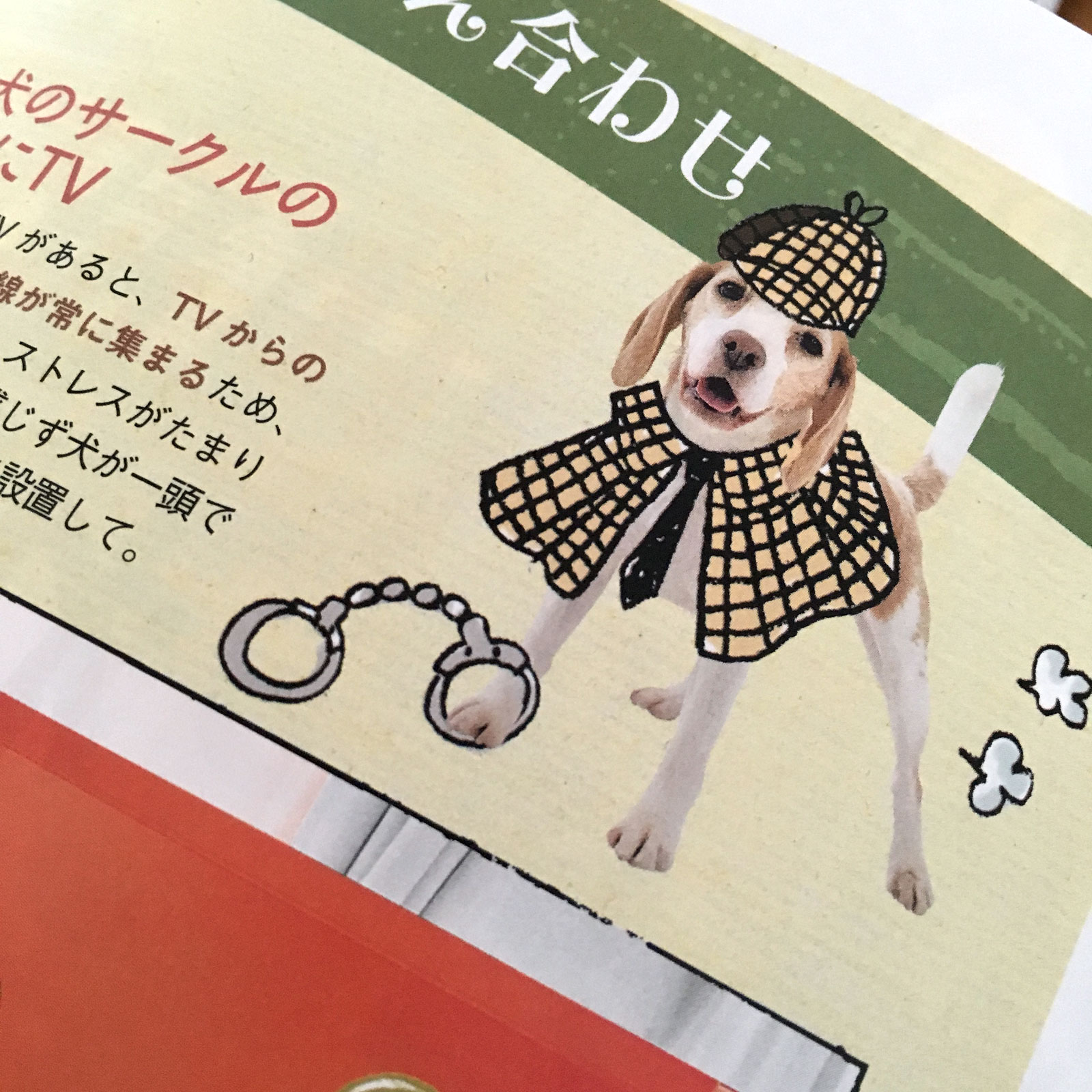 花豆ホームズ