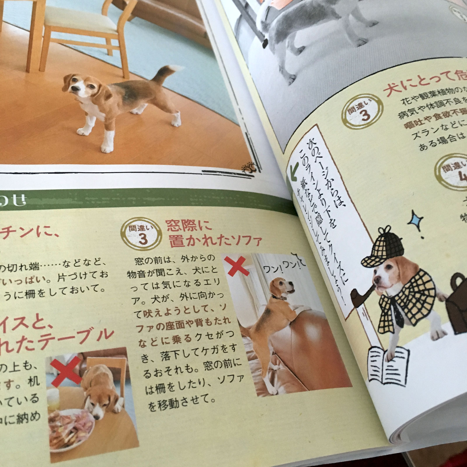 ビーグル密度