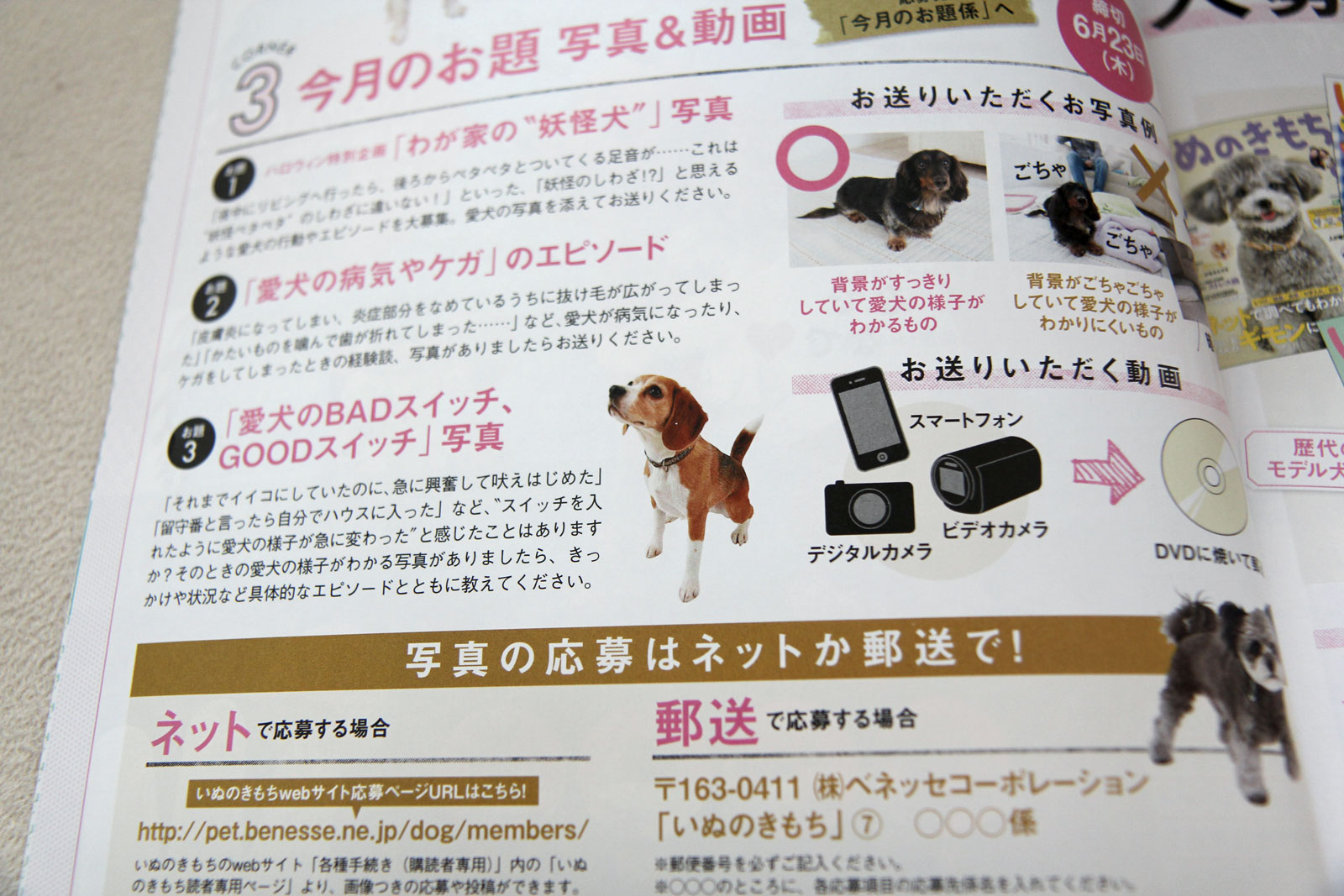 こっちにもいるよ